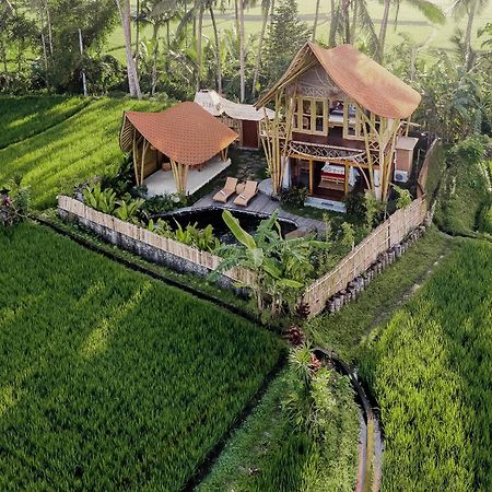 Arapan Ubud Eco Villa Extérieur photo