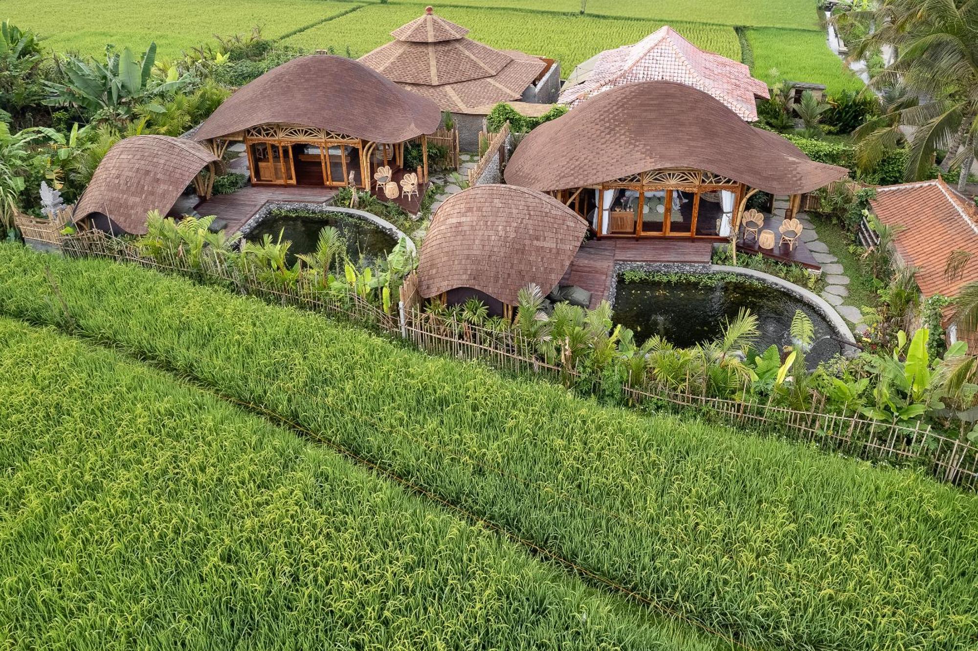 Arapan Ubud Eco Villa Extérieur photo