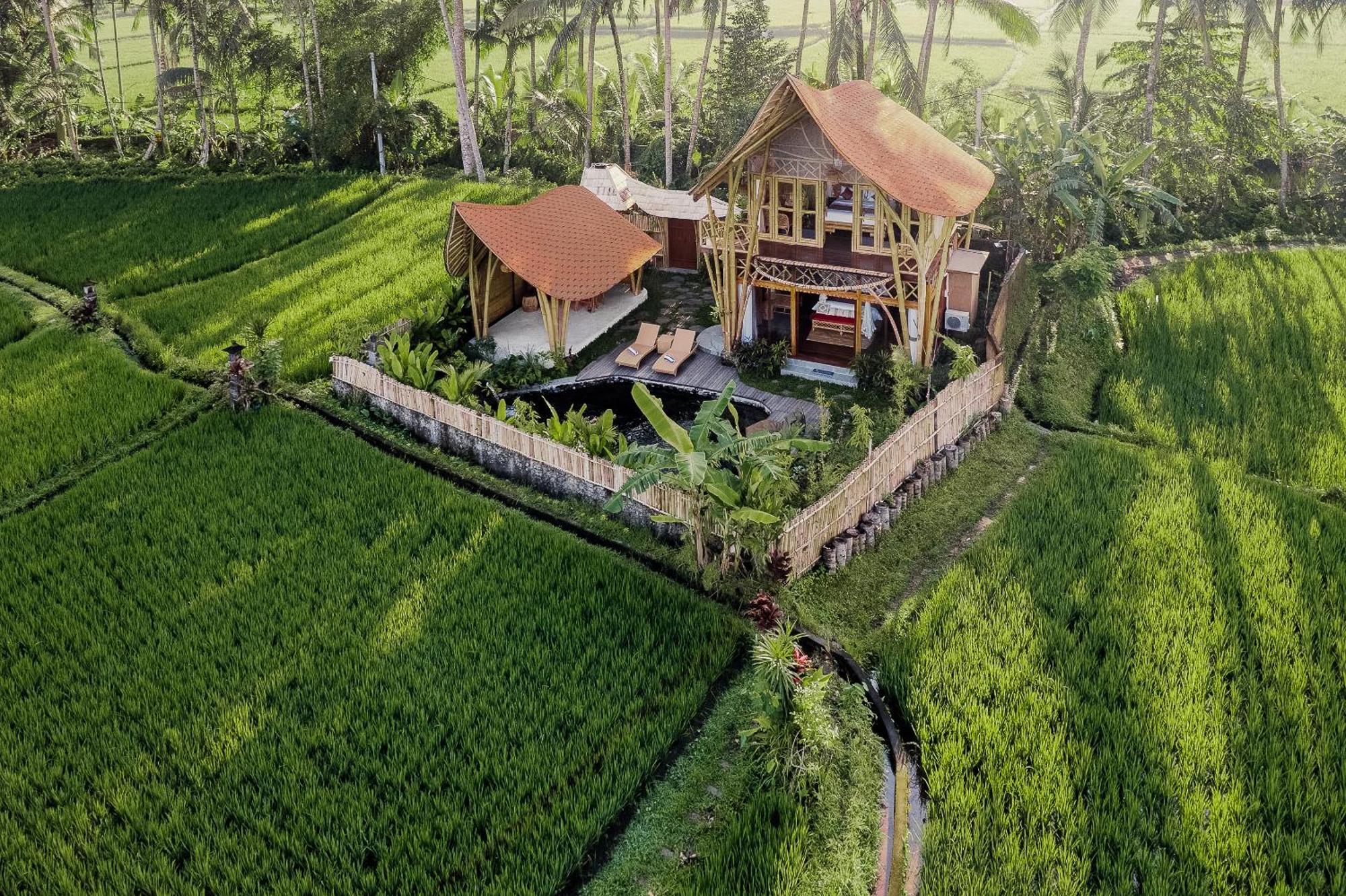 Arapan Ubud Eco Villa Extérieur photo